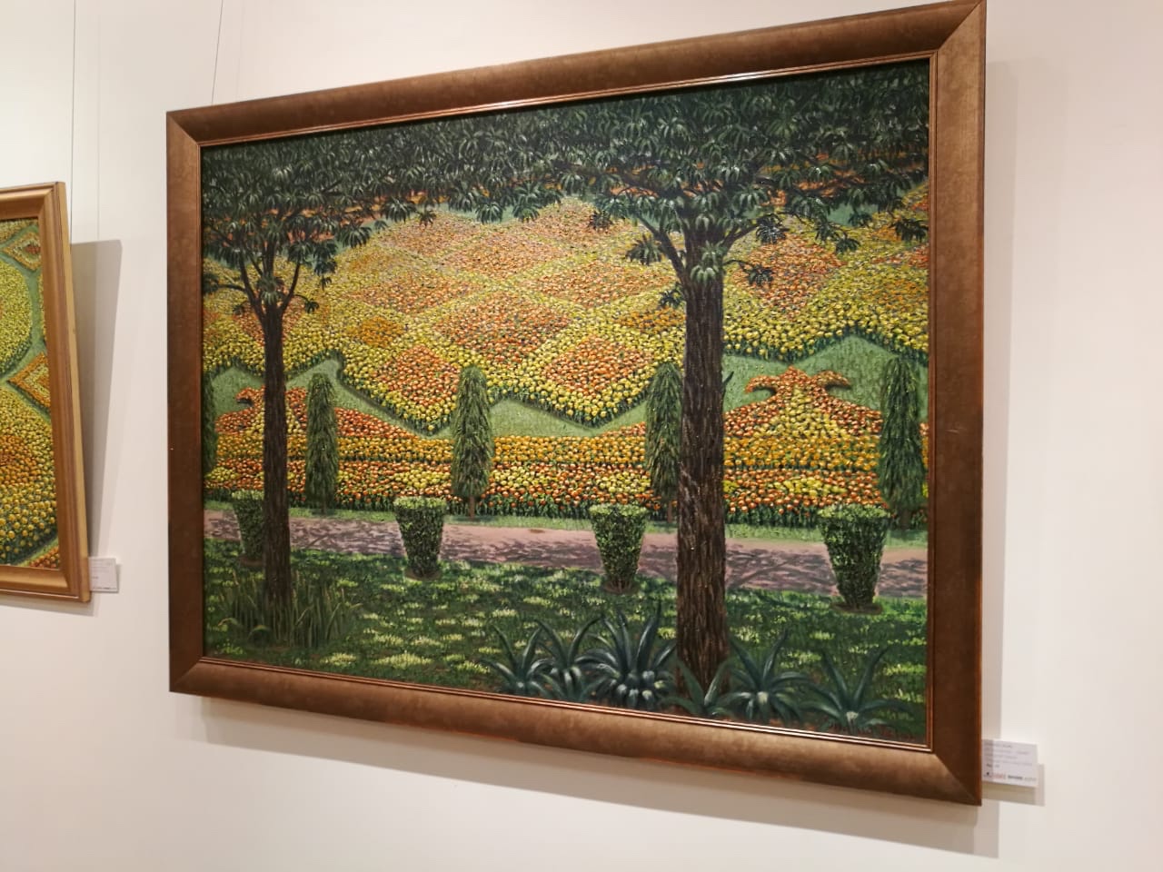 Image: Mohammad Farooq